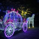 비자림빌리지3 | 제주투어패스 타임제로 72시간 이용후기-131,900원 절약