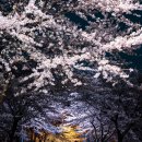 병산로 네이버블로그