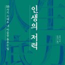 [도서정보] 인생의 저력 / 판덩 / 문학동네 이미지