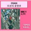 오색공인중개사사무소 이미지