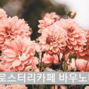 스포원 광복점