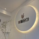 봄을담아 이미지