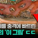 노원문화예술회관 이미지