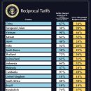 해외 증시 마감. 상호 관세 발표되며 시간 외 약세 이미지