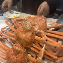 영덕대게식당 | 영덕 축전면 항구식당 대게 방문 후기