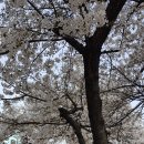 동대구로 이미지