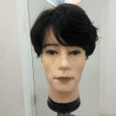 헤어쇼앤위그