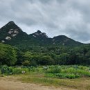 은평농장 이미지