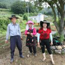 가덕농장 이미지