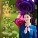 너참;예쁘다