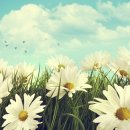 호강한의원 이미지