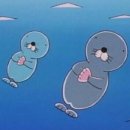 마린 스포츠센터 | 노원 수영장 마린스포츠센터(강사 후기, 텃세, 준비물)