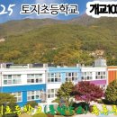 토지초교 이미지