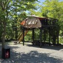 영월가자 펜션&캠핑장 이미지