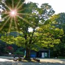 [141] 고려산 백련사 - 보물을 도둑맞은 강화도 천년 고찰
