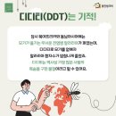 디디티