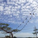 씨앤필드 이미지