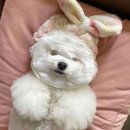 써니케어 | 피부가 환해지는 시간, 색소문제 전문 써니뷰티 부천상동점 맞춤 케어 후기