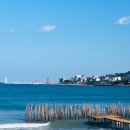 컴포즈 일광역점 | 부산 기장 가볼만한곳 바다미술제 포토존 데이트