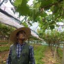 봉기농장 이미지