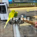 리프패럿일광점 | [부산 기장/일광] 리프패럿 일광점 아기랑 갈만한 곳