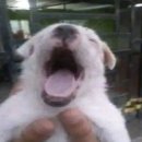 약먹을타이밍을 놓쳤다!! 이미지