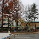 대덕구청 이미지