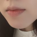 192 | 샤넬 르루쥬듀오 192 코랄핑크 쿨톤 사용 후기