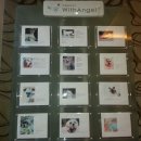 예산 위드엔젤 이미지