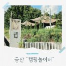 캠핑 애견놀이터 poljjac | 대전 근교 신상 글램핑 추천 금산 캠핑놀이터 아이와 수영장 당일치기 후기