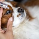 루다약국 이미지