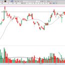 (주)부국랩테크 | [차트] 2월 Monthly 상승/하락률 결산 (Feat. 바이오 현재 자리 확인)