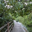 죽변등대공원 이미지