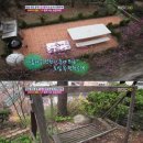 김나운 카카오 검색결과