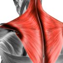 원앤원 짐 이미지