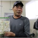 솔바우영농조합법인 이미지