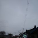 유림쭈꾸미 이미지