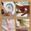 고고 힐링 제 2부 이미지