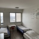 모모민박 이미지