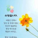 티파니모텔 이미지