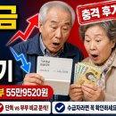 가구연금 | 2026년 기초연금 5개월 시행 결과? 단독 34만 9700원 부부 55만 9520원 실제 수급자 후기 총정리