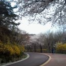 그 이름/배 호 이미지
