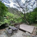 제2야영장 이미지