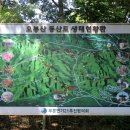 오봉산 맨발 등산로 네이버블로그