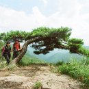 칠보면사무소 옆 티스토리