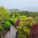죽도 : 충남홍성유일의유인섬. 문수사 : 봄철목장과겹벚꽃터널 이미지