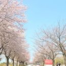 송이공원 화장실 이미지