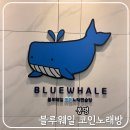 카페 노래연습장 | [봉명동] 블루웨일 코인노래연습장 후기｜봉명동 놀거리 마무리 코스로 추천