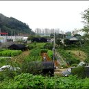 원당쇠고기국밥