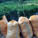 이화농장3 이미지